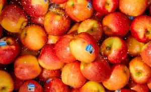 fruit-vegetable-supplier-australia