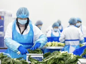 fruit-vegetable-supplier-australia