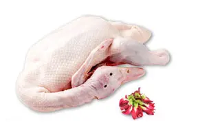 meat-poultry-seafood-supplier-malaysia