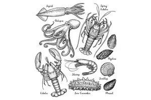 meat-poultry-seafood-supplier-singapore