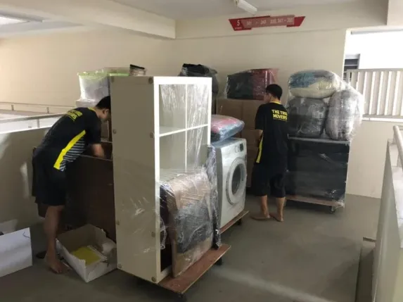 Movers and Storage in Singapore | Secure & Reliable Services by The Trio Movers