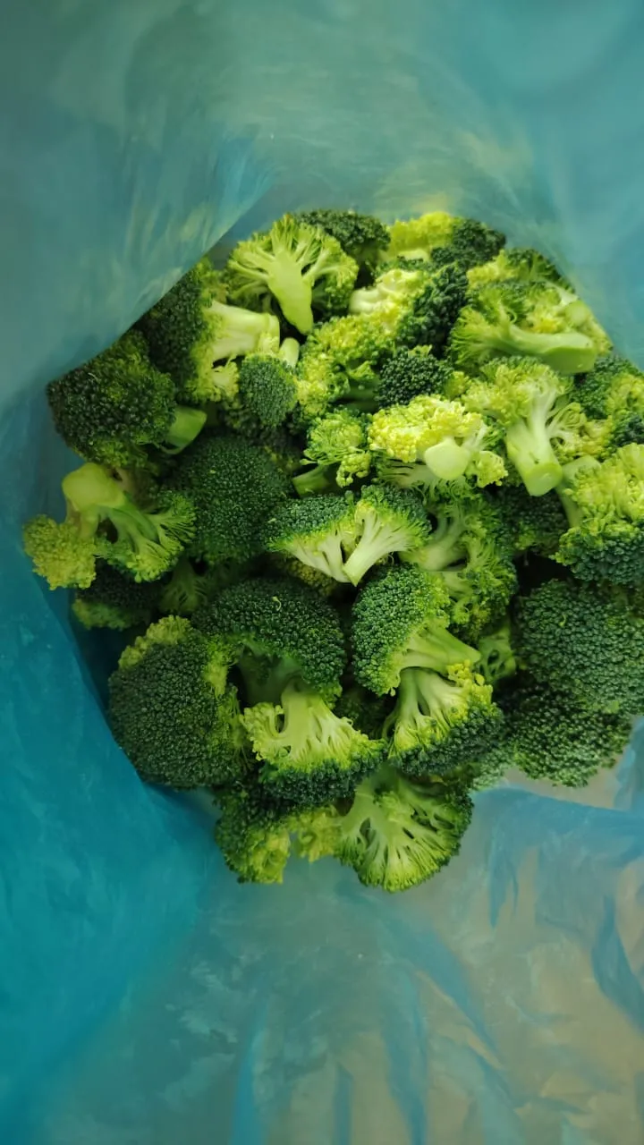 VEGETABLE WHOLESALERS 